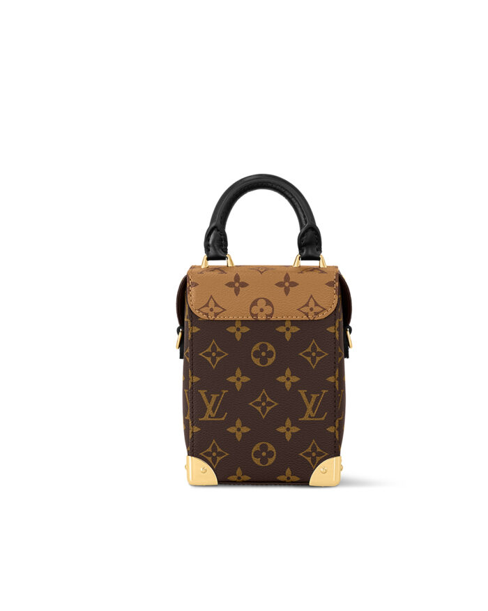 Louis Vuitton CAMERA BOX handbag2