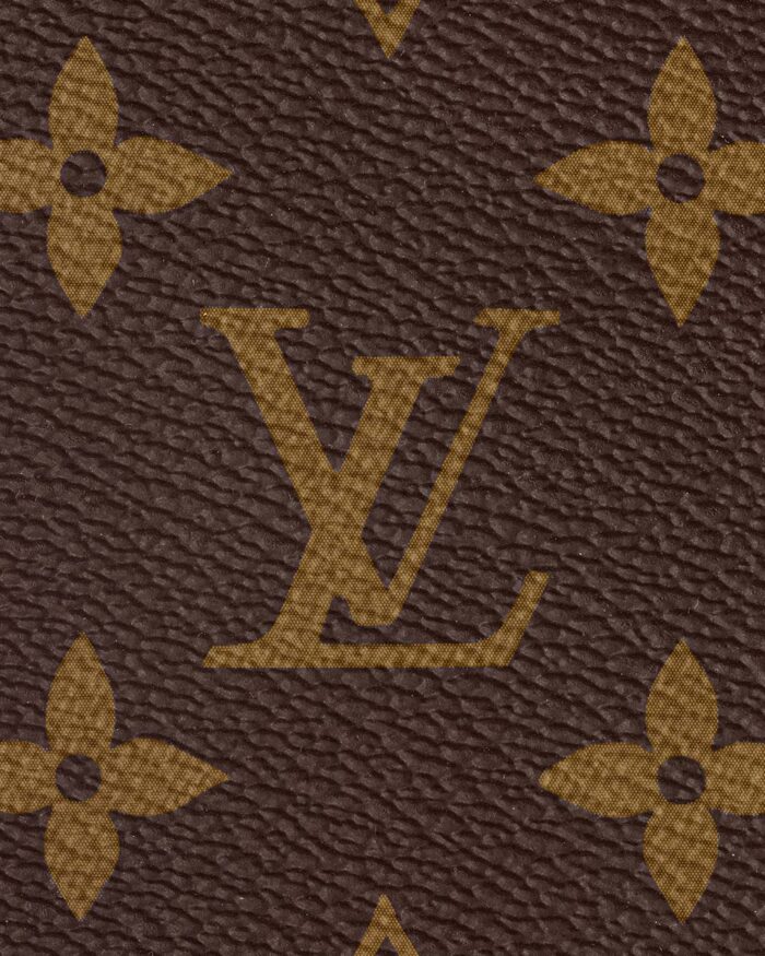 Louis Vuitton Noe BB Crossbody Bucket Bag7