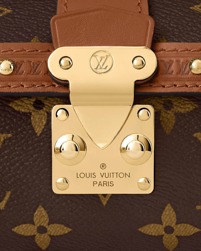 Louis Vuitton PAPILLON TRUNK handbags Papillon6