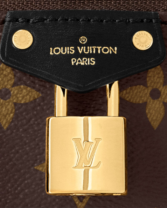 Louis Vuitton Vanity Chain Pouch handbag8